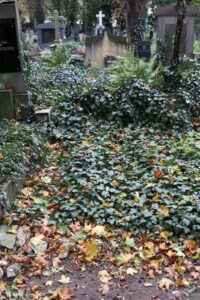 Fotografie hrobu: Berta Mühlsteinová