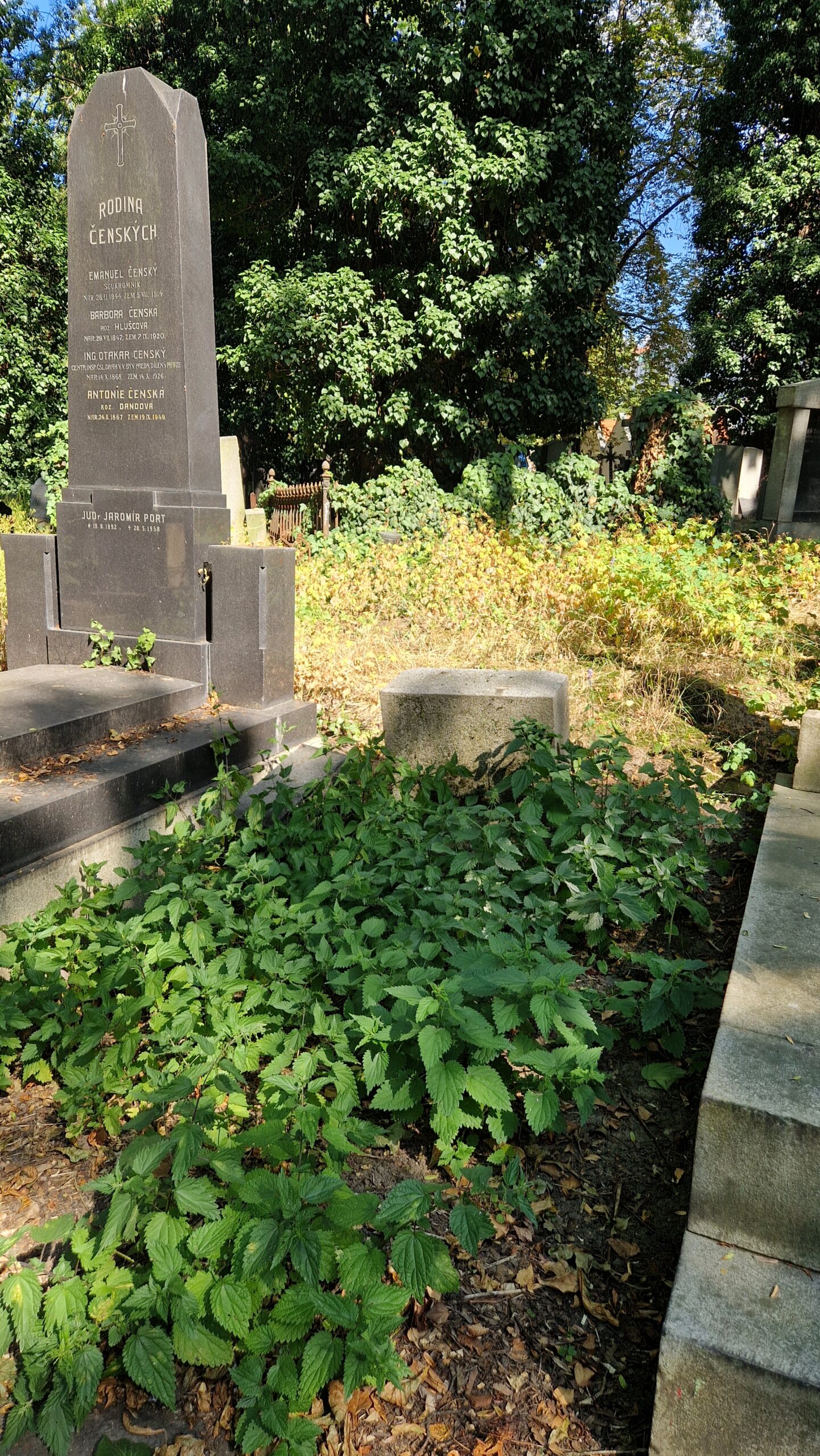 Vratislav Pasovský
