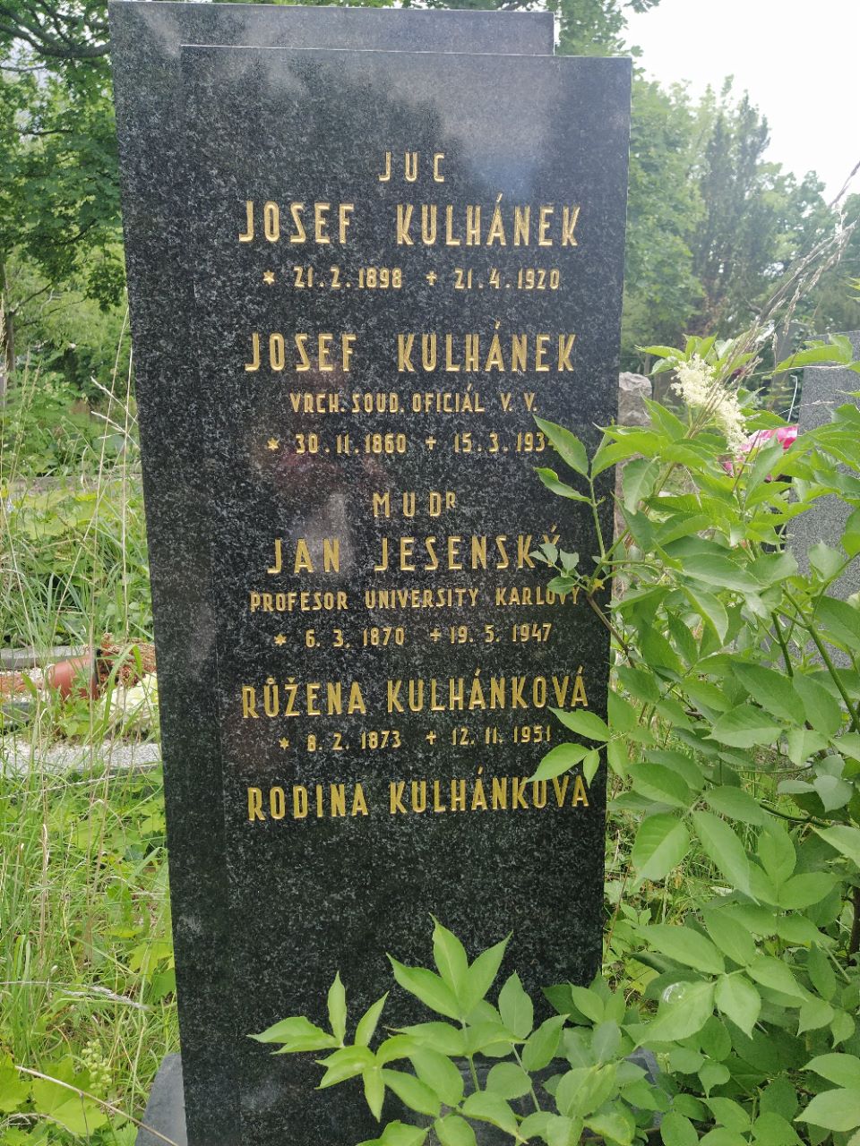 Jan Jesenský