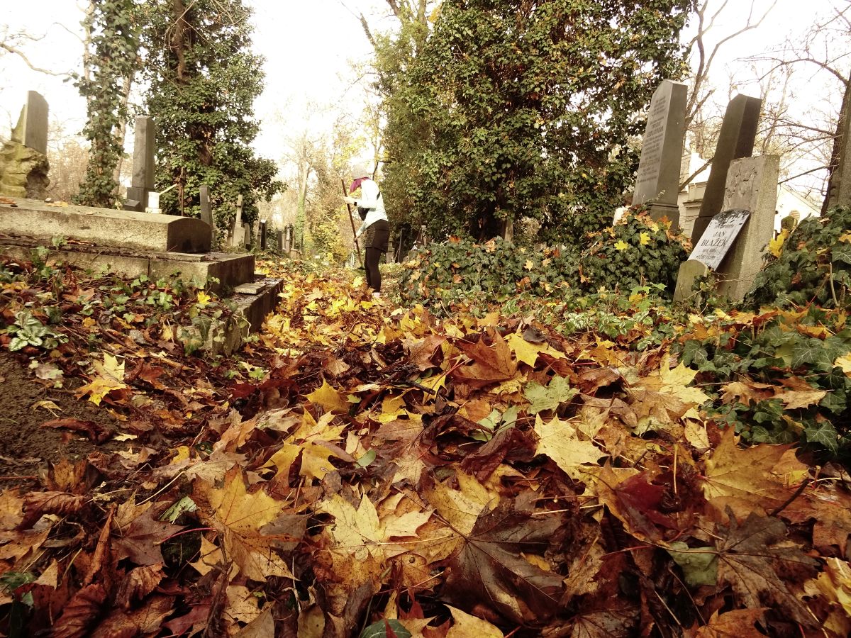 ZŠ náměstí Curieových pomohla s úklidem hřbitovů