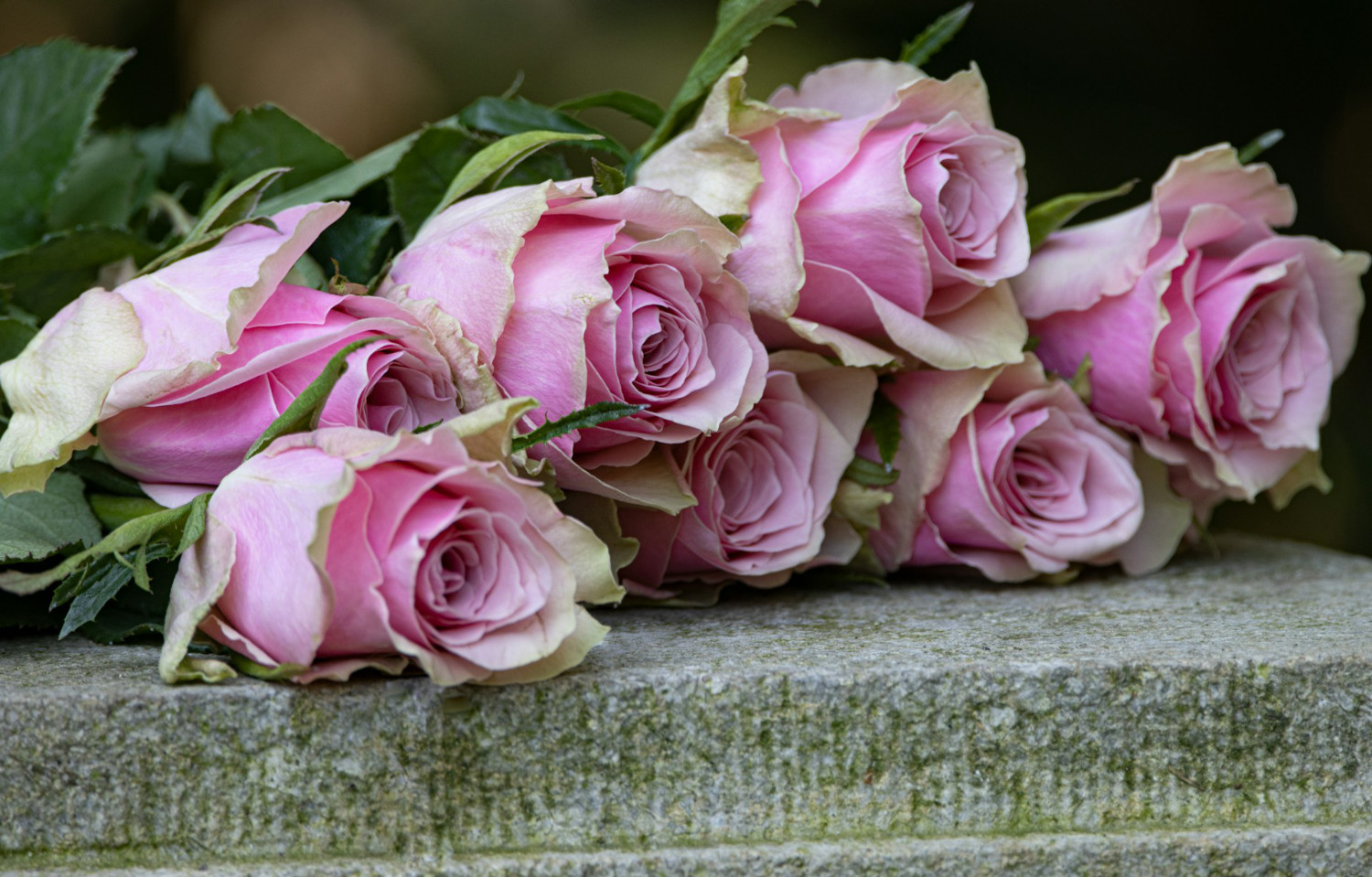 Komentované procházky v březnu 2026