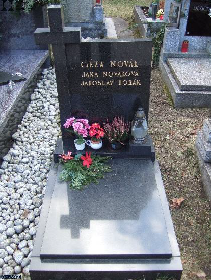 Géza Novák