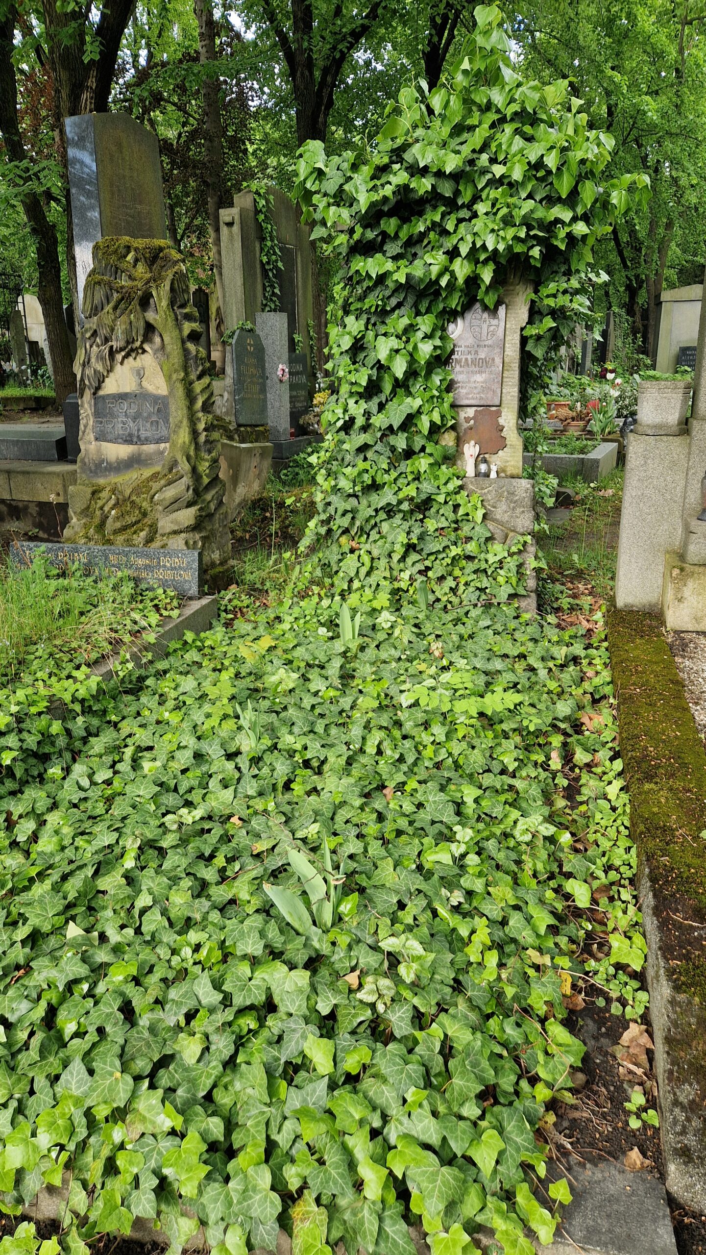 Otilka Hermanová